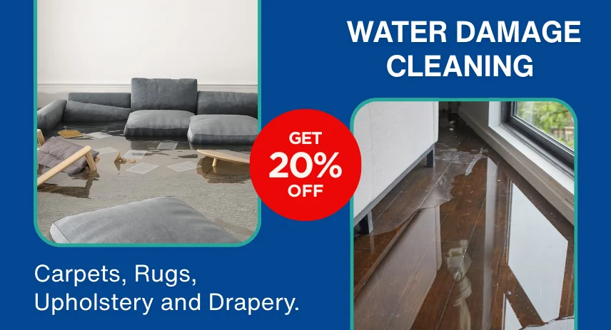 FOR WATER DAMAGE CLEANING